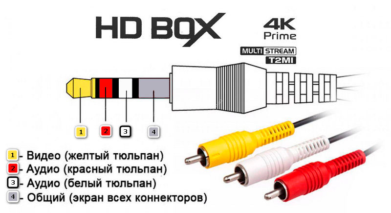 4K_Prime_5f4b67e40aa7e2.jpg