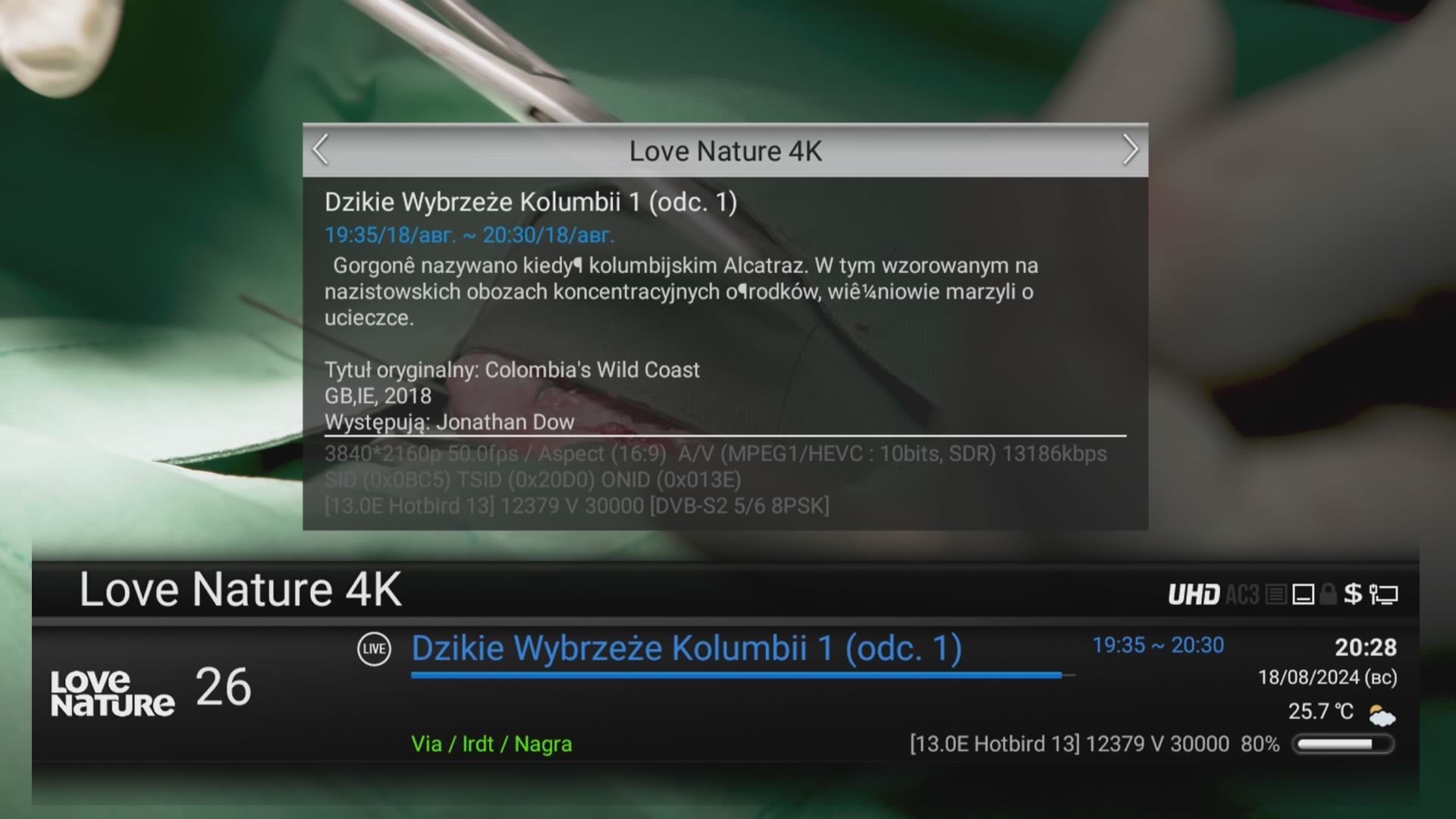 HD-BOX_00814184.jpg